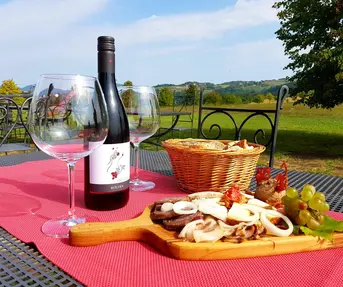 Bolfan Vinski Vrh 